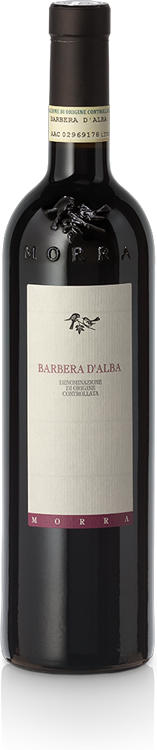 Barbera d'Alba Morra 2019