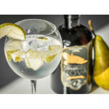 Terra Nova Gin 
